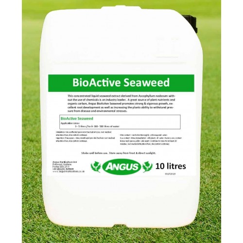 BioActive Seaweed